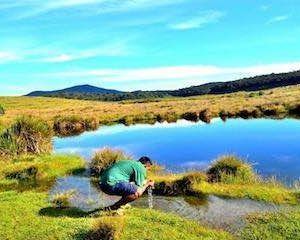 Parque nacional Horton Plains