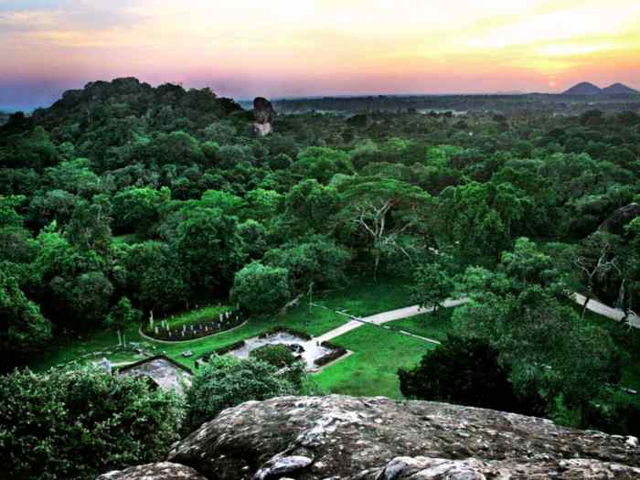 Belleza inmarcesible de Hatthikuchchi 8 hach