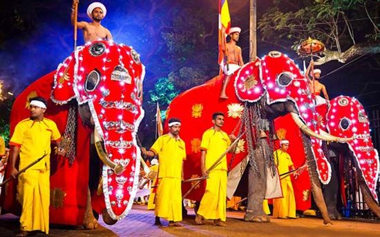 Sri Lanka 11 Días – Con Perahera 5