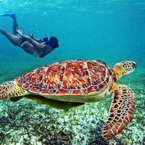 Sri Lanka 7 días - El Edén del buceo 3 Sri Lanka 11 Días- El Buceo En La Mítica Isla