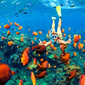 Sri Lanka 8 días - Aventura y safaris sin límites 4 Sri Lanka 7 Días El Edén Del Submarinismo