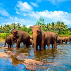 Sri Lanka en 8 días La isla de los colores 3 Sri Lanka 8 dias La isla de los colores