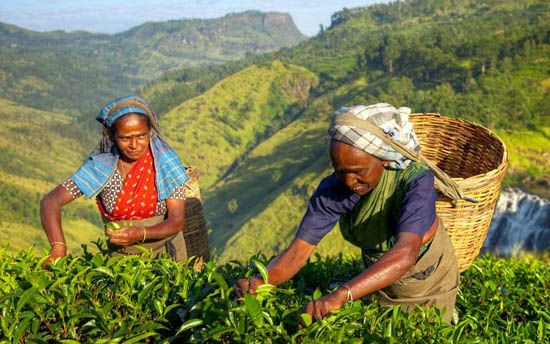 new Sri Lanka en 12 días 2