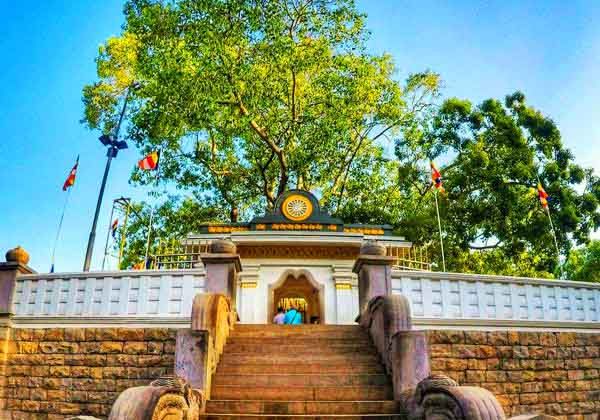 Anuradhapura, la ciudad antigua de siglo 3 AC en Sri Lanka 3 jayasrimahabodi03