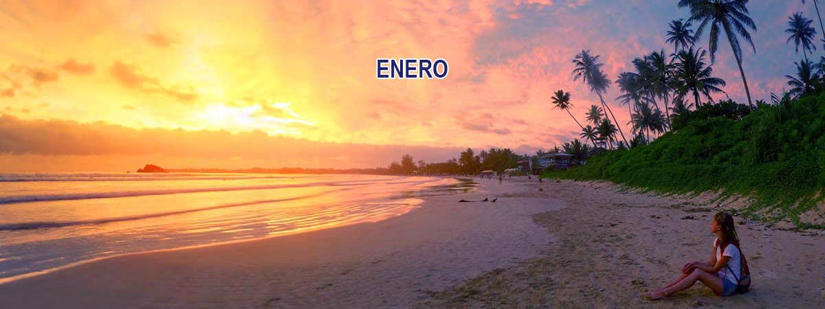 Guía práctica 13 Enero 1