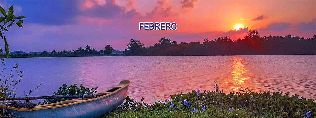 Guía práctica 14 Febrero