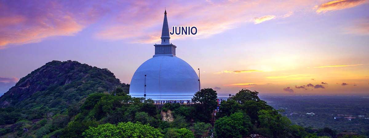 Guía práctica 18 Junio