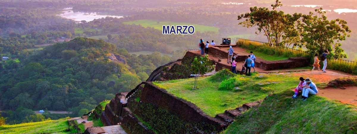 Guía práctica 15 Marzo