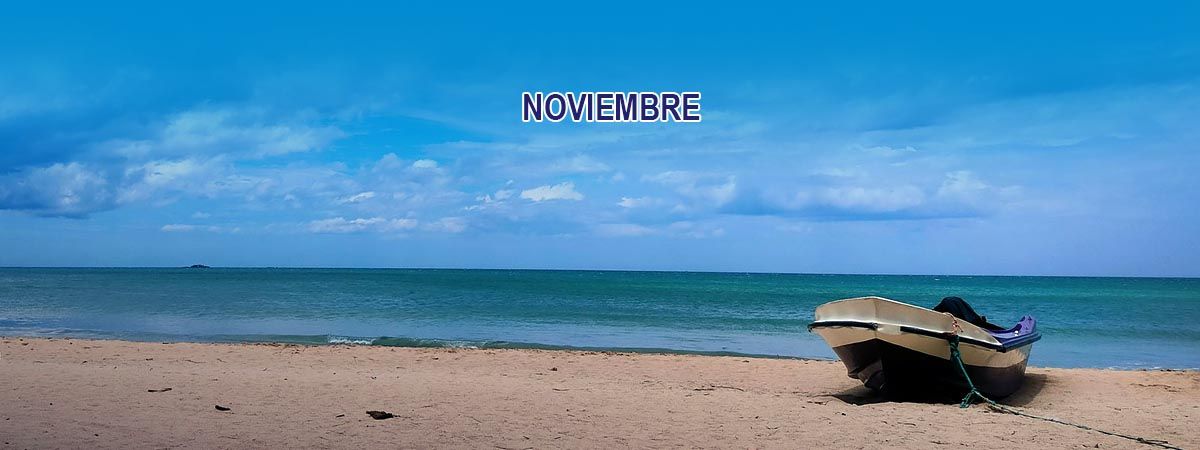 Guía práctica 23 November