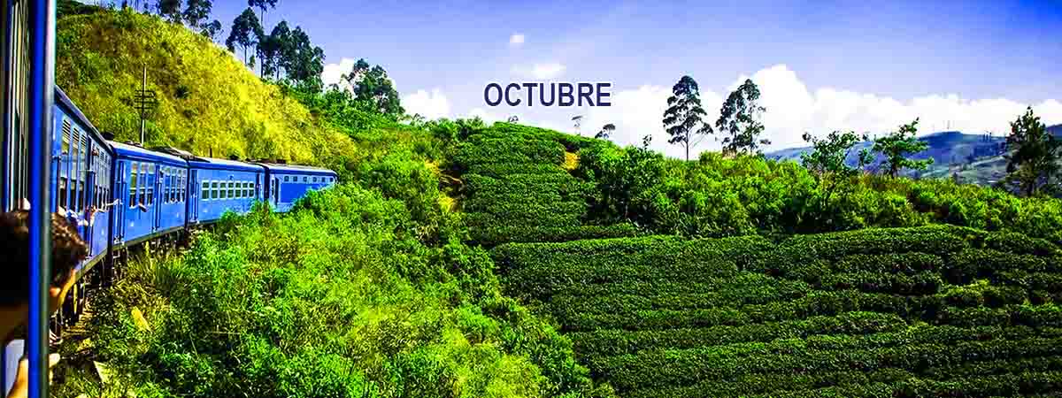 Guía práctica 22 Octubre