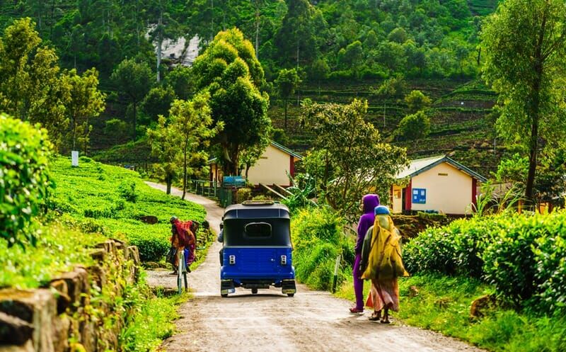 Guía práctica 37 Haputale Sri Lanka
