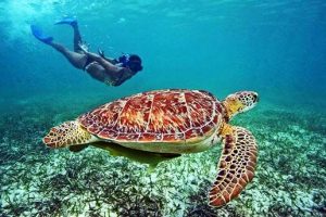 Sri Lanka 11 Días- El Buceo En La Mítica Isla