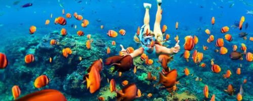 Sri Lanka 7 Días El Edén Del Submarinismo